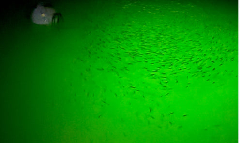 2A Portable Night Fishing Buoy Kit